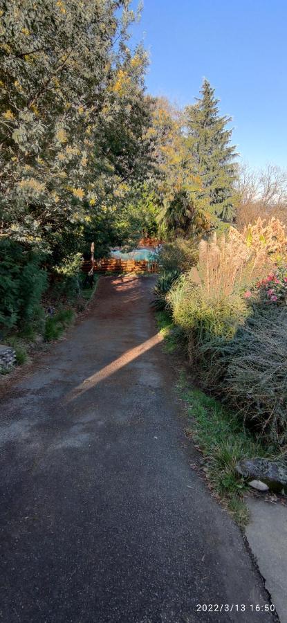 B&B En plein coeur de la forêt Artiguelouve Exterior foto